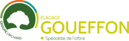 Goueffon Élagage, entreprise d'élagage et de soin aux arbres dans le Loiret