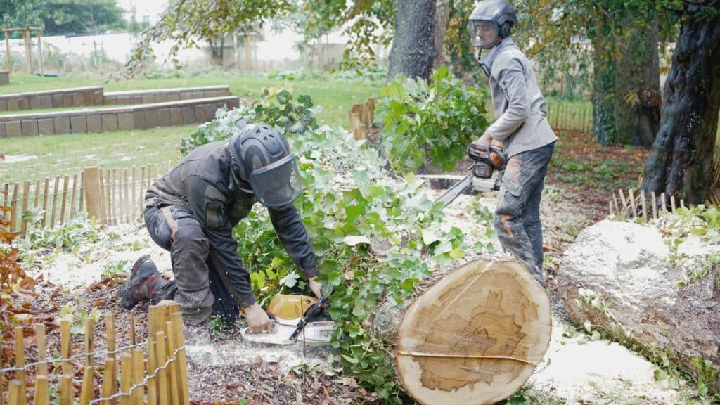 Abattage d'arbre dans le Loiret par les équipes Goueffon Élagage